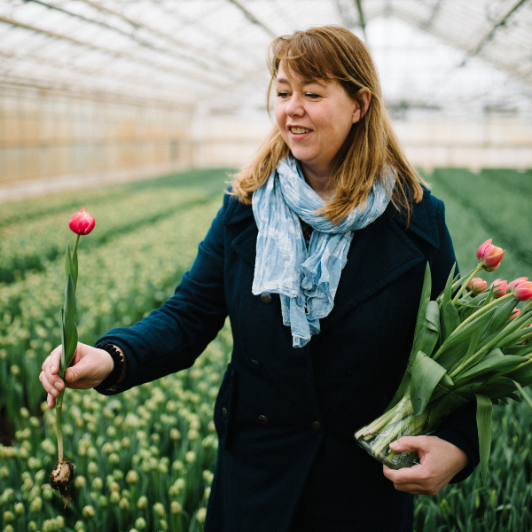 Cursus Het Nieuwe Werven Heleen van Egmond